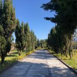 خربد زمین متراژ بالا